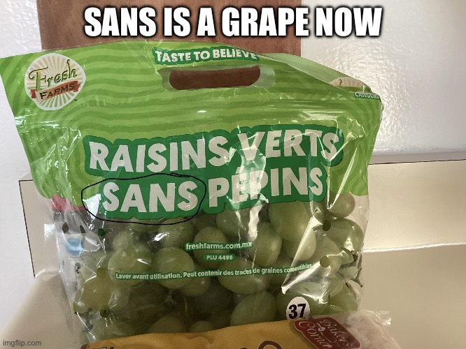 Sans is a grape now | image tagged in memes,funny memes | made w/ Imgflip meme maker