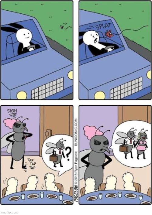 Buni Comics | image tagged in comics,buni comics,fly,splat,family,where is daddy | made w/ Imgflip meme maker
