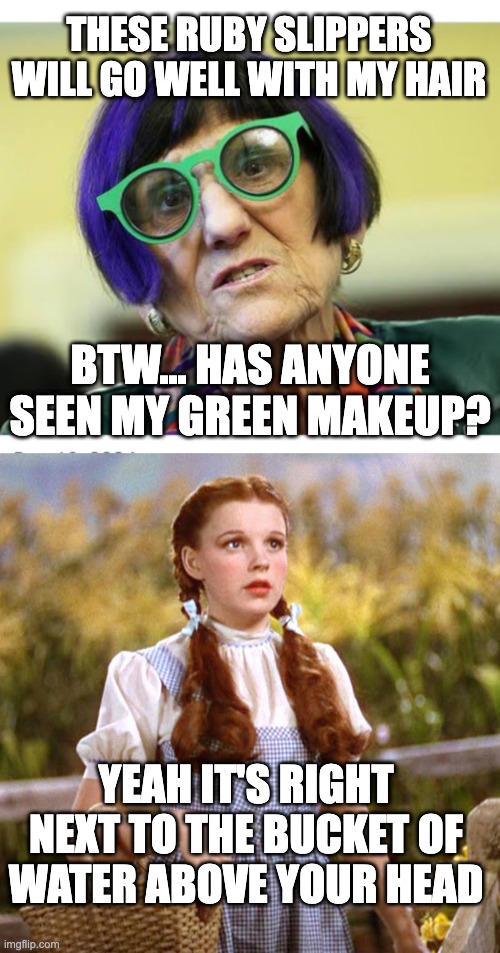 These ruby slippers will go well with my hair; BTW... Has anyone seen my green makeup? YEAH IT'S RIGHT NEXT TO the BUCKET OF WATER above your head | image tagged in congresswoman delauro d-ct,dorthy | made w/ Imgflip meme maker