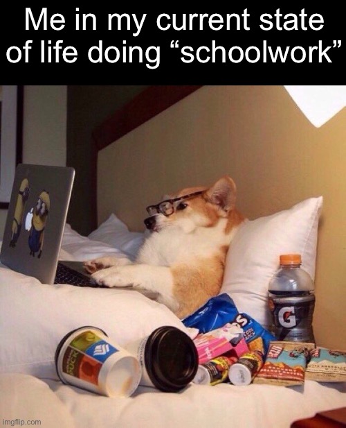 Do you know the gingerbread man? | Me in my current state of life doing “schoolwork” | image tagged in lazy dog in bed,memes,fun | made w/ Imgflip meme maker