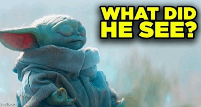 image tagged in baby yoda what did he see | made w/ Imgflip meme maker
