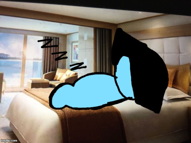 Oggy sleeping in my room | image tagged in cruise ship bedroom | made w/ Imgflip meme maker