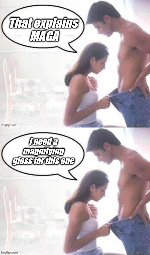 That explains
 MAGA I need a magnifying glass for this one | made w/ Imgflip meme maker