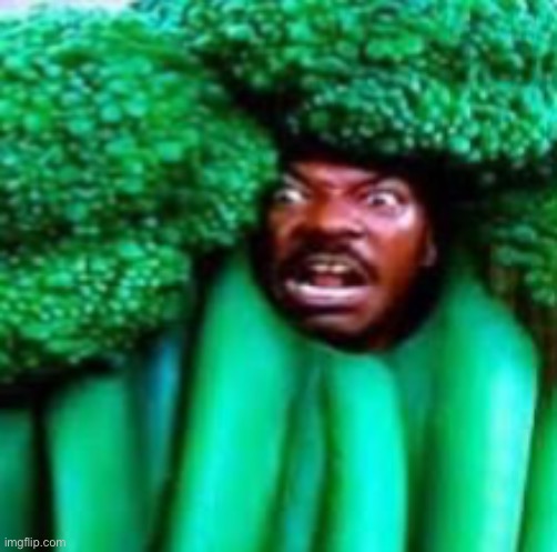 You can’t hear pictures but this one… | image tagged in lol,broccoli | made w/ Imgflip meme maker