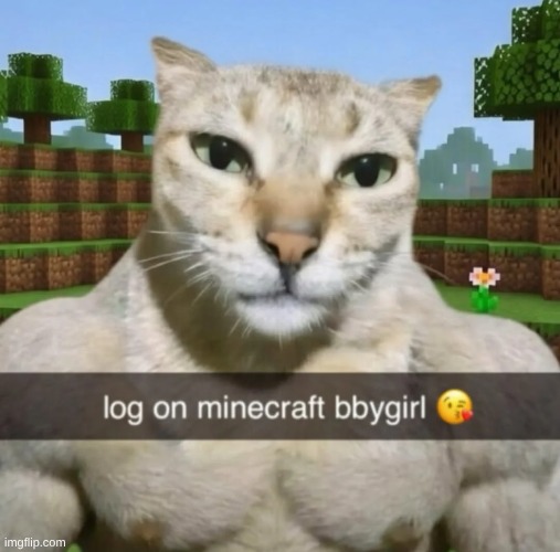 Better listen to him. You don't want to know what he's like when you make him mad | image tagged in minecraft | made w/ Imgflip meme maker