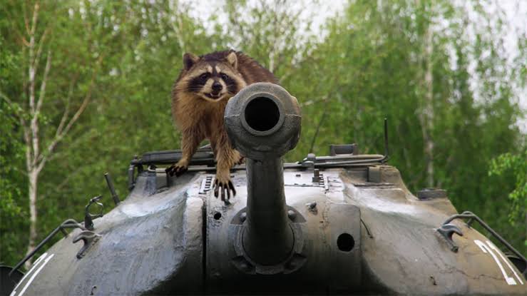 Coon says Delet this Blank Meme Template
