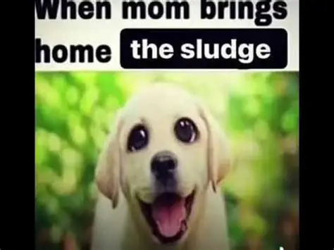 sludge Blank Meme Template