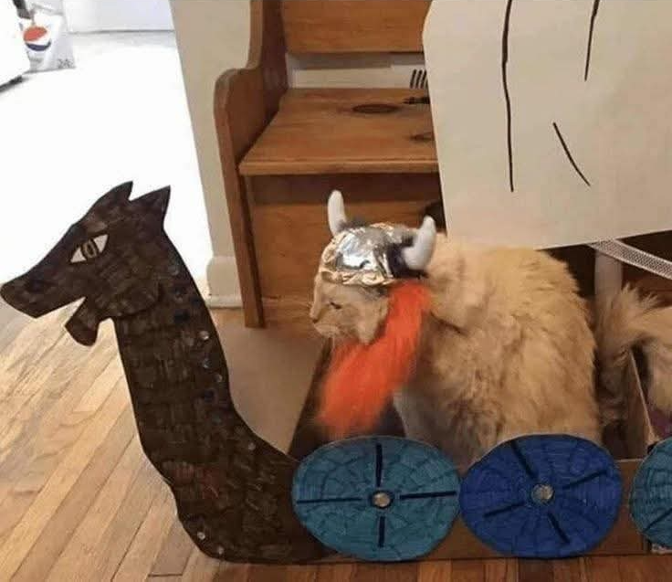 Viking Cat Blank Meme Template