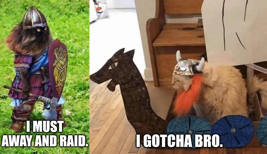 Away and Raid | I must away and raid. I gotcha bro. | image tagged in viking cat,funny memes,danger,history memes | made w/ Imgflip meme maker