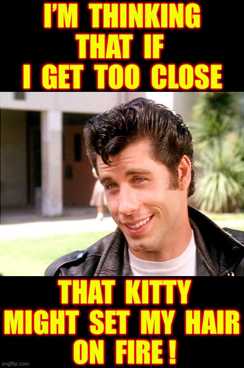 ( Part Two Of ) . . . THE BEST PIE EVER !!!  : ) | I’m  thinking
That  if 
I  get  too  close; That  kitty 
might  set  my  hair
 On  fire ! | image tagged in john travolta grease,no fear,get some,grease | made w/ Imgflip meme maker