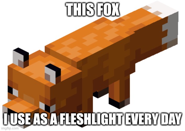 Minecraft fox | this fox; i use as a fleshlight every day | image tagged in minecraft fox | made w/ Imgflip meme maker