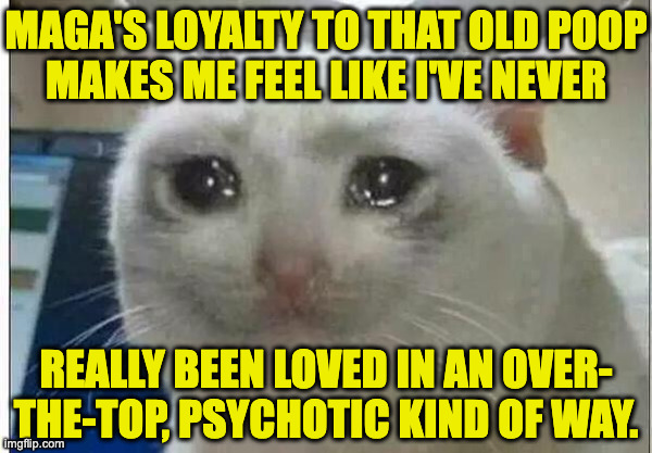 Everything's extreme with them. | MAGA's loyalty to that old poop
makes me feel like i've never; really been loved in an over-
the-top, psychotic kind of way. | image tagged in crying cat,memes,maga loves trump | made w/ Imgflip meme maker
