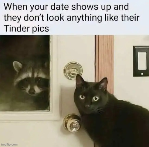 I bet it happens more than you can believe | image tagged in pictures,alternative facts,alternate reality,so true memes,oh no black cat,not the real deal | made w/ Imgflip meme maker