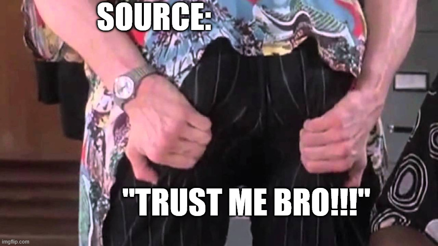 SRC: "Trust Me Bro!!!" | SOURCE:; "TRUST ME BRO!!!" | image tagged in ask a few questions | made w/ Imgflip meme maker