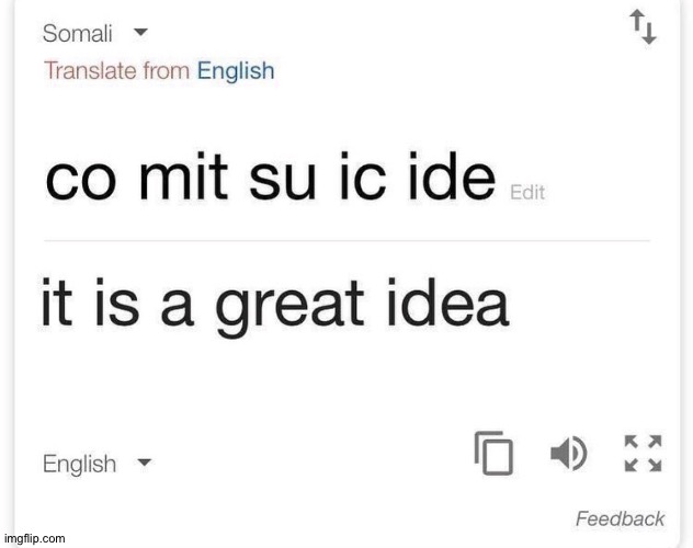γοογλε τρανσλατε... | image tagged in meme | made w/ Imgflip meme maker