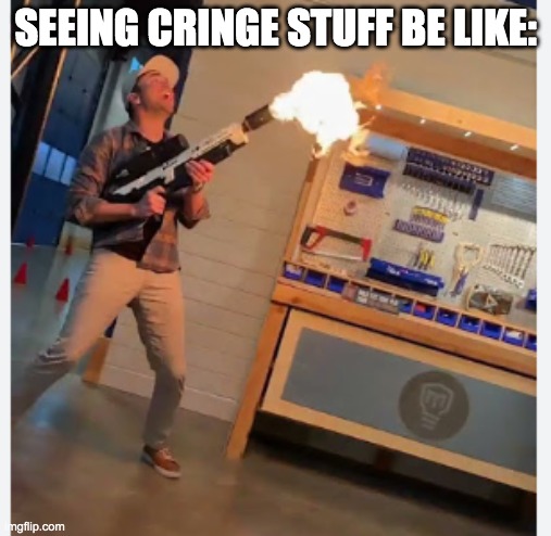 i hate cring | seeing cringe stuff be like: | image tagged in mark rober flamethrower,cringe | made w/ Imgflip meme maker