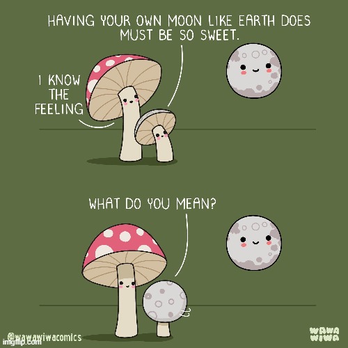 image tagged in mushroom,moon,mushrooms | made w/ Imgflip meme maker