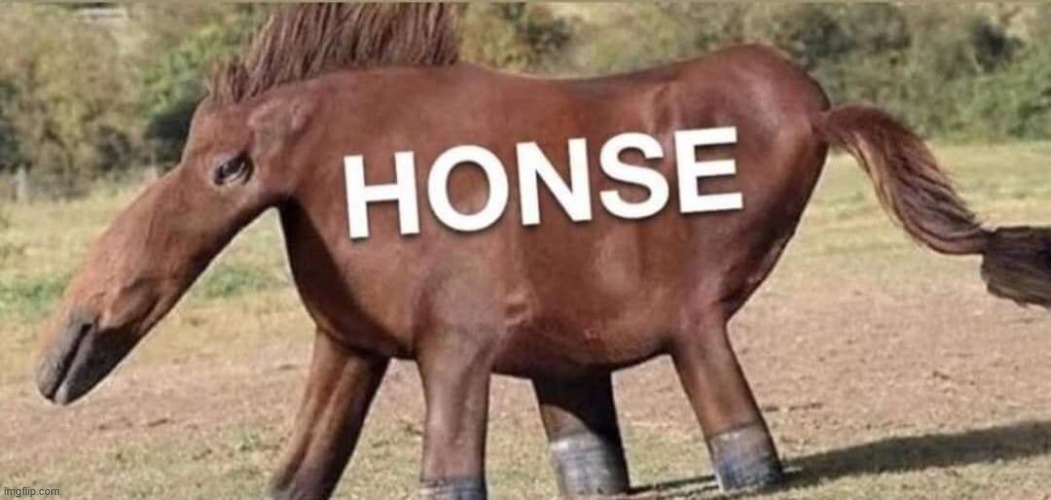 Proof ppl will upvote anything | image tagged in honse | made w/ Imgflip meme maker