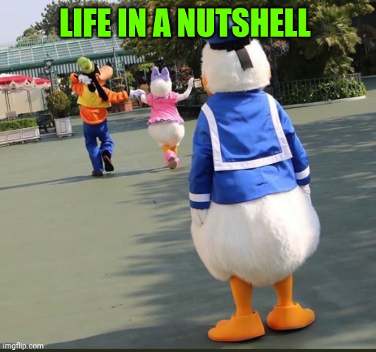 Goofy, Donald Duck, Daisy Duck | Life in a nutshell | image tagged in goofy donald duck daisy duck | made w/ Imgflip meme maker