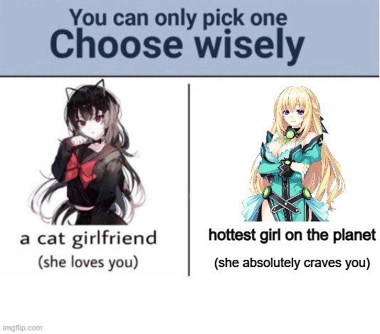 Choose wisely | hottest girl on the planet; (she absolutely craves you) | image tagged in choose wisely | made w/ Imgflip meme maker