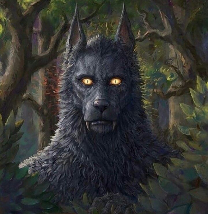 werewolf stare Blank Meme Template