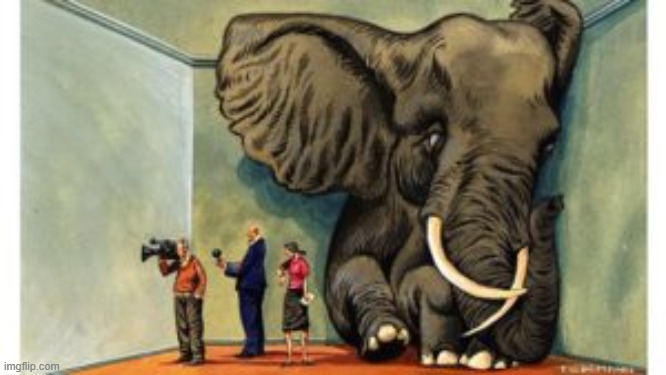 Elephant in the room | image tagged in elephant in the room | made w/ Imgflip meme maker