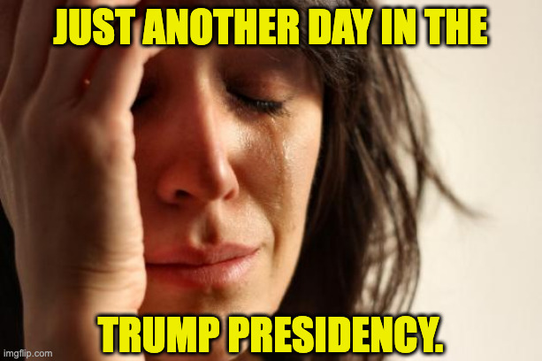 First World Problems Meme | just another day in the; trump presidency. | image tagged in memes,first world problems,trump | made w/ Imgflip meme maker