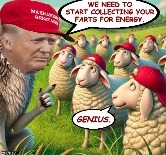 There may be some minor discomfort. | we need to start collecting your farts for energy. genius. | image tagged in maga are sheep,memes,stable genius | made w/ Imgflip meme maker