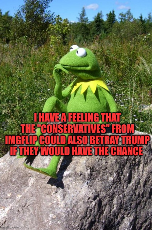 I'm 100% sure about it | I have a feeling that the "conservatives" from Imgflip could also betray Trump if they would have the chance | image tagged in kermit-thinking | made w/ Imgflip meme maker