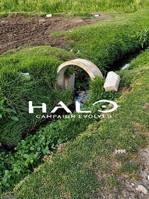 Halo | image tagged in halo,memes,funny,shitpost | made w/ Imgflip meme maker