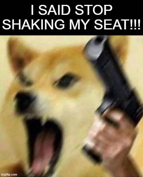 Angry doge with gun | I SAID STOP SHAKING MY SEAT!!! | image tagged in angry doge with gun | made w/ Imgflip meme maker