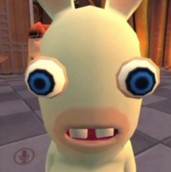 Rabbit Blank Meme Template