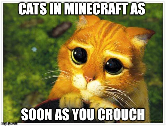 Sorry Kitty | Cats in Minecraft as; soon as you crouch | image tagged in sorry kitty | made w/ Imgflip meme maker