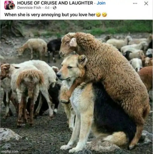 Don't ever forget that you love one another... | image tagged in commitment,love,love wins,reason,together,advice | made w/ Imgflip meme maker
