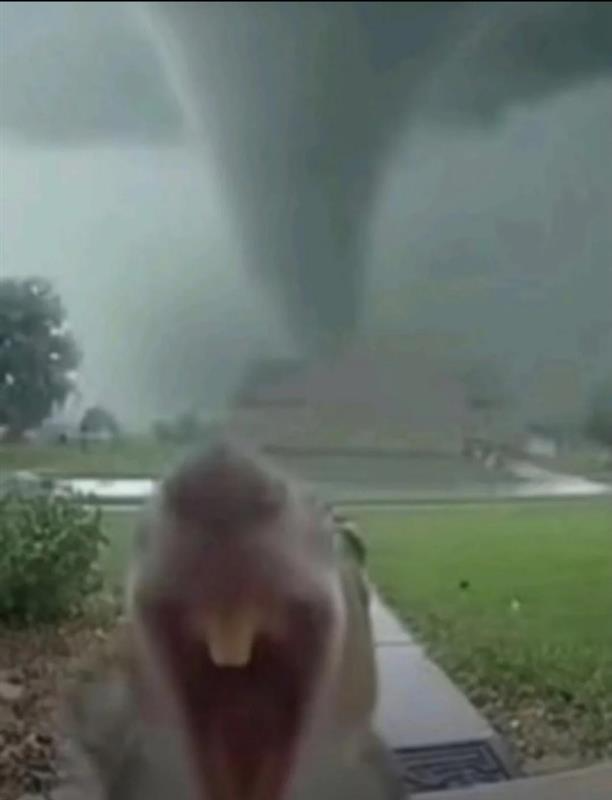 We gonna die Blank Meme Template