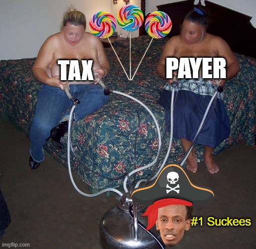 Suckers & Suckees | payer; tax; #1 Suckees | image tagged in somalin tax payer cow girl meme | made w/ Imgflip meme maker