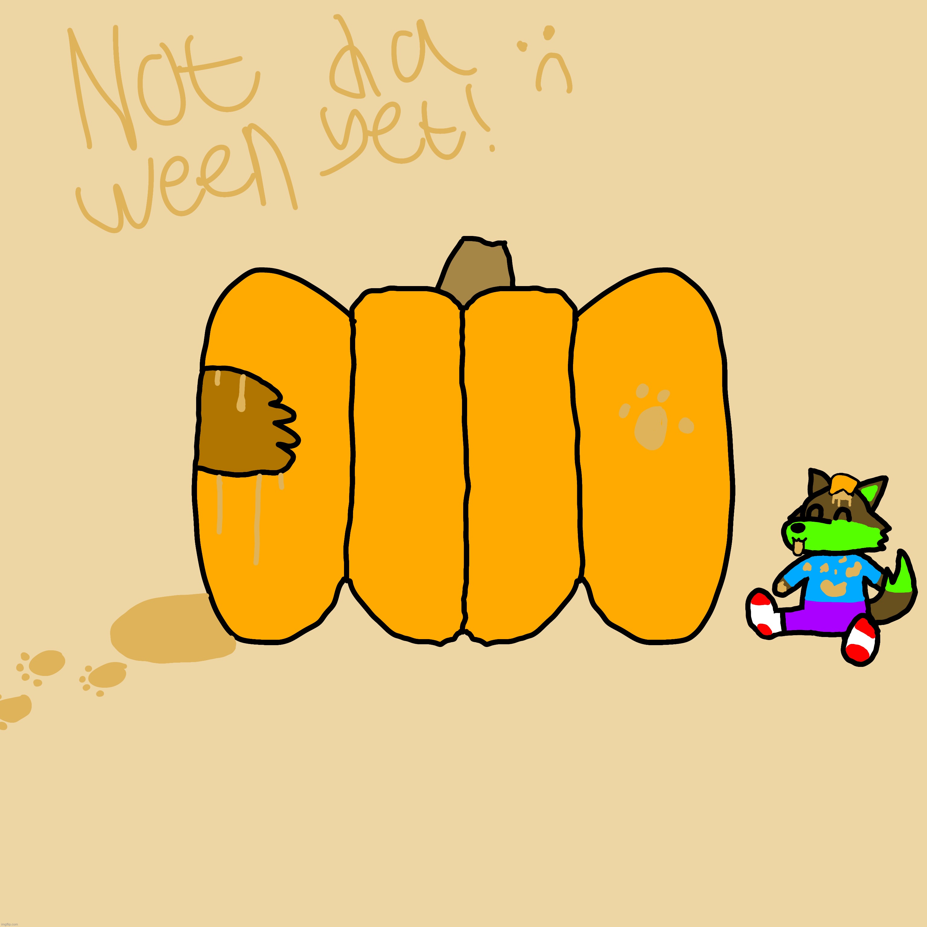 pumkin :3 | image tagged in furry,farkas,wolf,pumpkin,silly,adorable | made w/ Imgflip meme maker