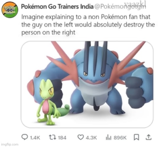 How do we tell him?? | image tagged in pokemon,swampert,treecko,battle,strength,elements | made w/ Imgflip meme maker