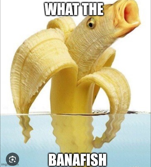 What Da banafish | What the; Banafish | image tagged in banafish,what the | made w/ Imgflip meme maker