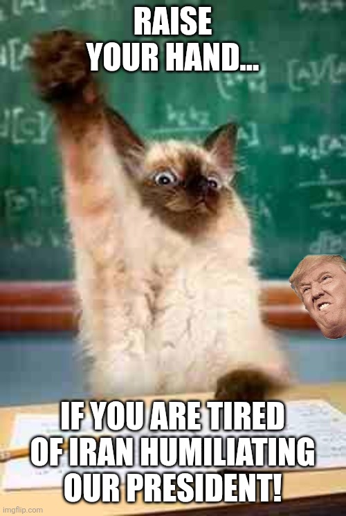 Raise your hand for your president | Raise your hand... If you are tired of Iran humiliating our president! | image tagged in donald trump,trump,maga,iran,nevertrump,trump sucks | made w/ Imgflip meme maker