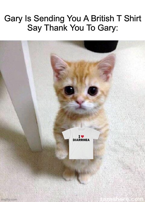 Gary Wants To Offer You Something | Gary Is Sending You A British T Shirt
Say Thank You To Gary: | image tagged in memes,cute cat | made w/ Imgflip meme maker