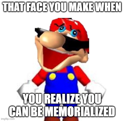 That face you make when | that face you make when; you realize you can be memorialized | image tagged in smg4 silly mario,that face you make when | made w/ Imgflip meme maker