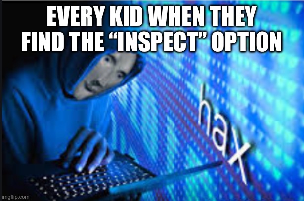 Hax | Every kid when they find the “Inspect” option | image tagged in hax | made w/ Imgflip meme maker