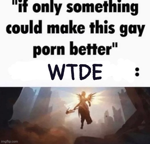 WTDE | made w/ Imgflip meme maker
