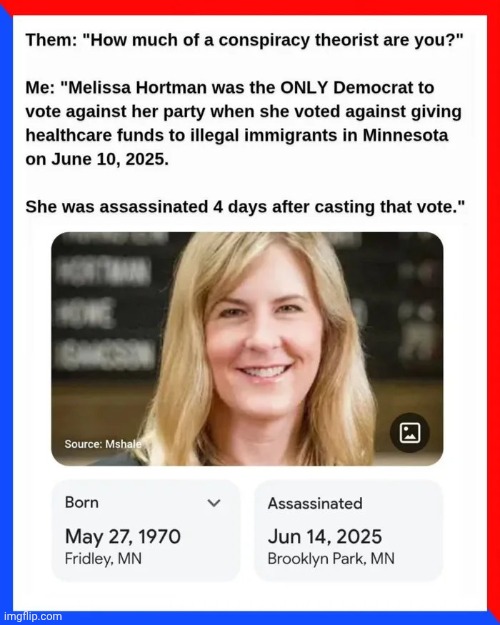 The Democratic Way | image tagged in problem solved,how to,democrats democratting,motus operandi,gun control,well yes but actually no | made w/ Imgflip meme maker