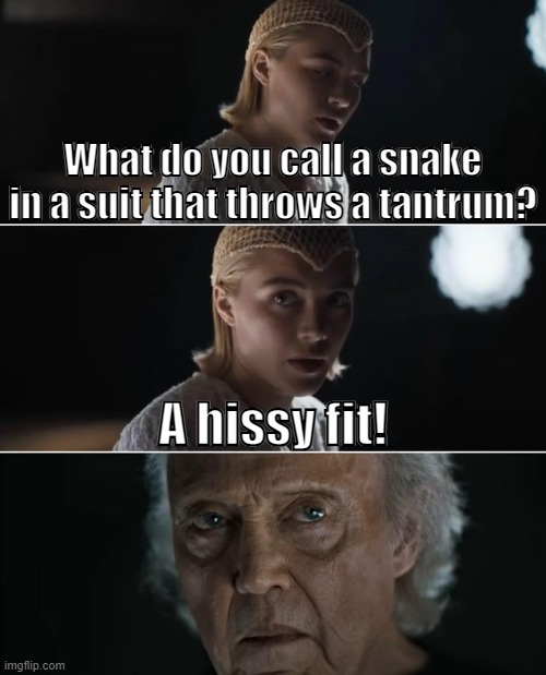 Irulan's dad jokes! | What do you call a snake in a suit that throws a tantrum? A hissy fit! | image tagged in dune | made w/ Imgflip meme maker