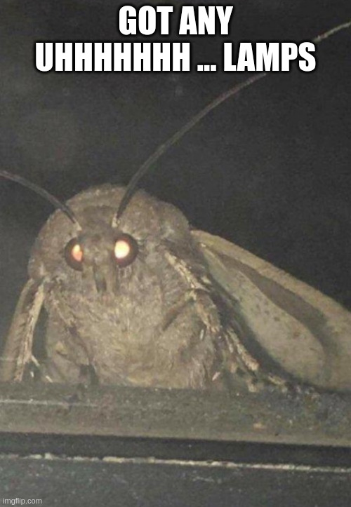 Moth | got any uhhhhhhh ... lamps | image tagged in moth | made w/ Imgflip meme maker