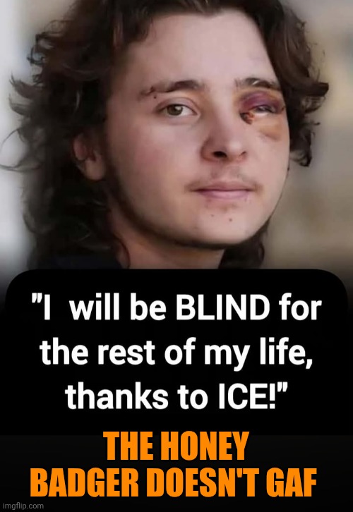 Funny | The honey badger doesn't GAF | image tagged in funny,politics,government,police,secure the border,honey badger | made w/ Imgflip meme maker