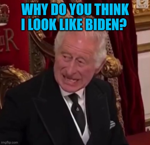 The King’s Angst | Why do you think I look like Biden? | image tagged in the king s angst | made w/ Imgflip meme maker