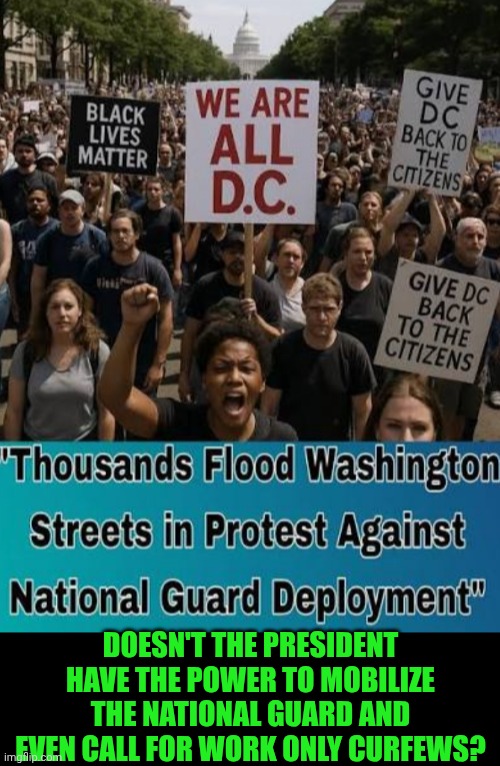 Funny | Doesn't the president have the power to mobilize the national guard and even call for work only curfews? | image tagged in funny,president trump,politics,us government,us military,protesters | made w/ Imgflip meme maker